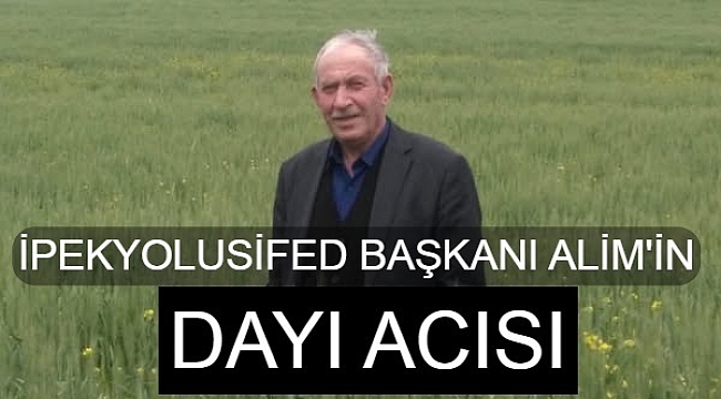 BAŞKAN ALİM' İN DAYI ACISI