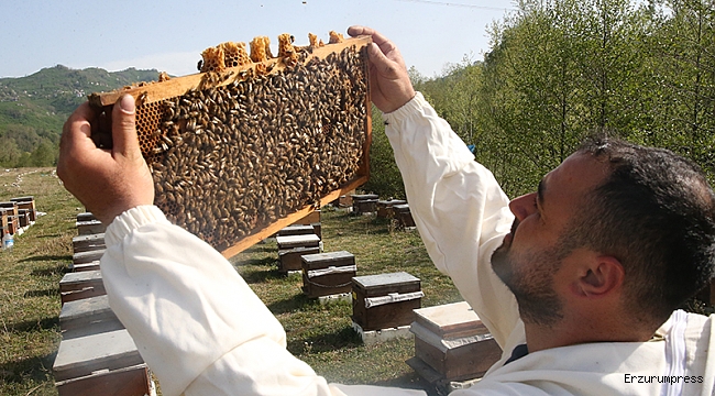 Manisa Büyükşehir'den arıcılara güçlü destek