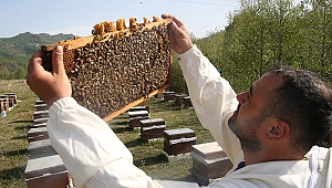 Manisa Büyükşehir'den arıcılara güçlü destek
