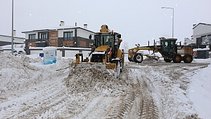 Aziziye'de Karla Mücadele Seferberliği 