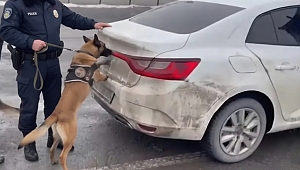 Erzurum’da Zehir Sevkiyatına Darbe