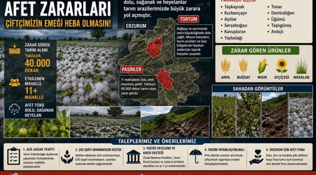 Ahmet Eşref Yılmaz: 