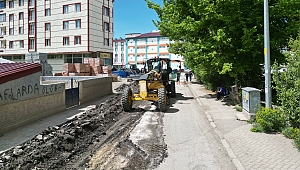 Aziziye'de Dev Asfalt Hamlesi: Yaz Boyunca Aralıksız Çalışma